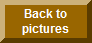 BACK TO PICTURES